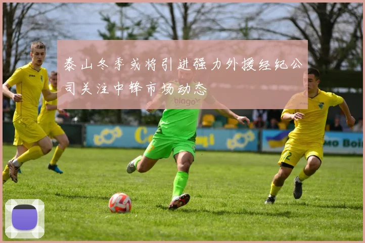 泰山冬季或将引进强力外援经纪公司关注中锋市场动态